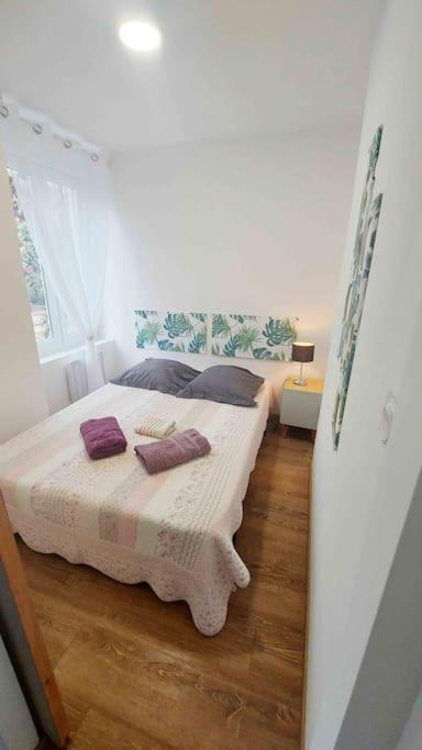 Appartements Cosy Belfort Extérieur photo